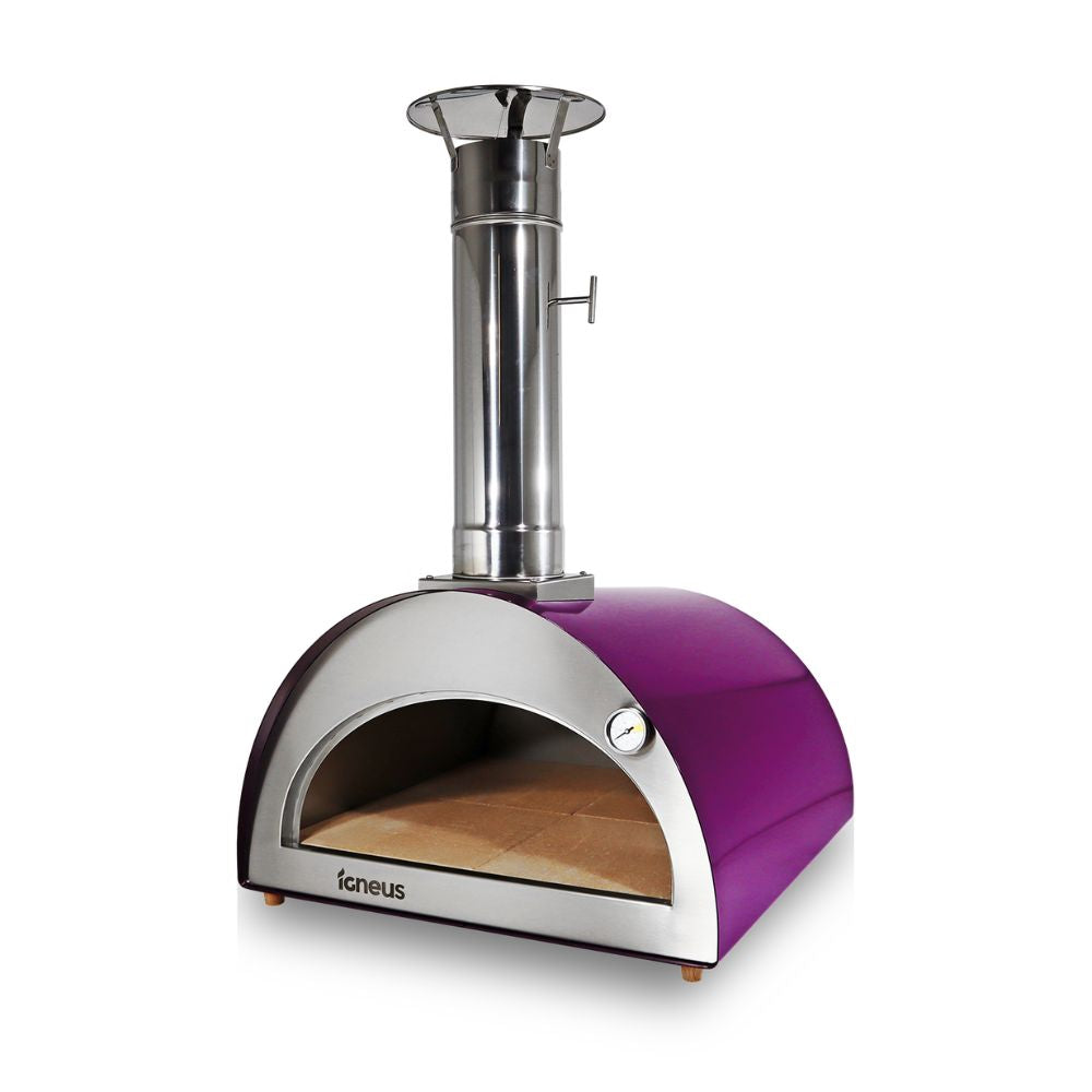 Purple and silver pizza oven with 'ioneus' branding on a white background
