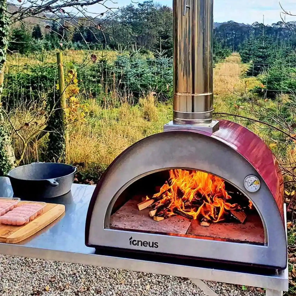 Outdoor pizza oven with fire inside, set against a natural landscape.