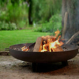 Fire pit with flames and wood in a natural outdoor setting